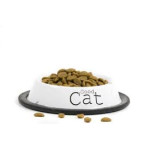 Cat Dry Food 乾糧